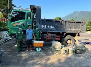 Quảng Ninh: Phát hiện xe chở 400kg nầm lợn đông lạnh không rõ nguồn gốc