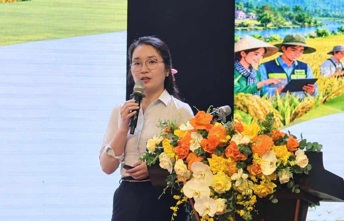 Nhân rộng mô hình canh tác lúa phát thải thấp gắn với tăng trưởng xanh