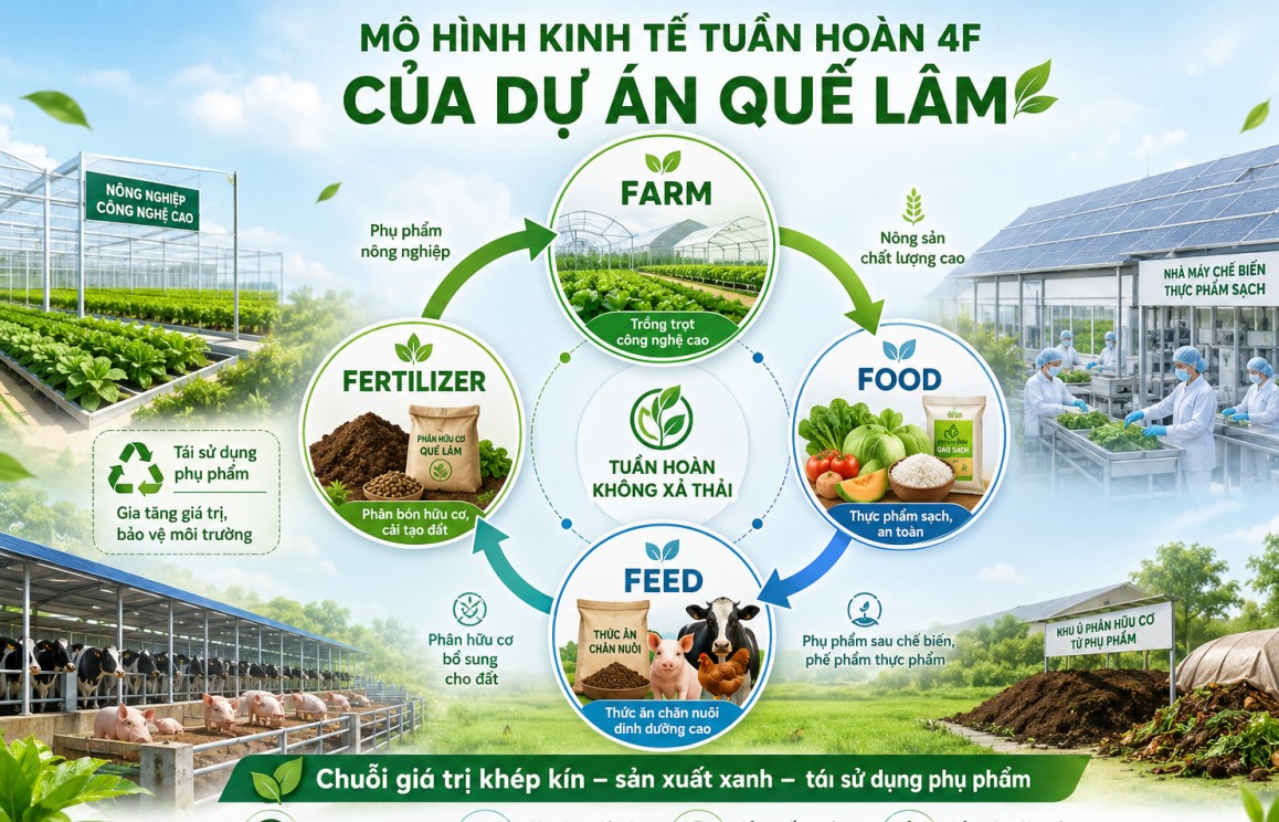 Quảng Trị hợp tác với Tập đoàn Quế Lâm phát triển các mô hình nông nghiệp hữu cơ, tuần hoàn