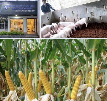 Phát triển công nghiệp sinh học ngành nông nghiệp theo hướng ứng dụng, hiệu quả và bền vững