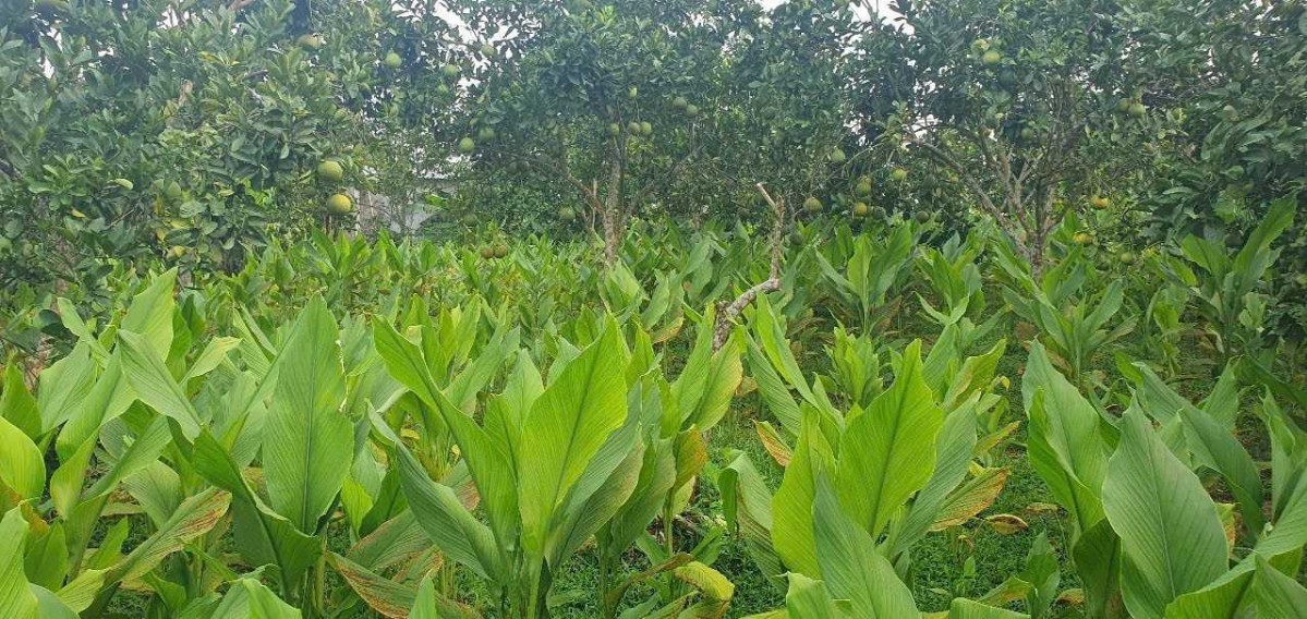 nong dan phun van hoa doat giai tai cuoc thi sang tao ky thuat nha nong toan quoc