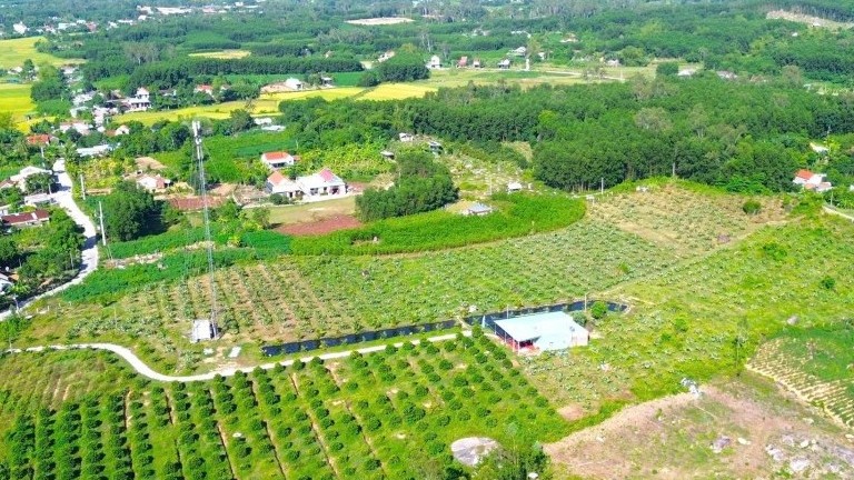 vung doi keo lot xac nho chuyen huong trong oi ung dung cong nghe cao