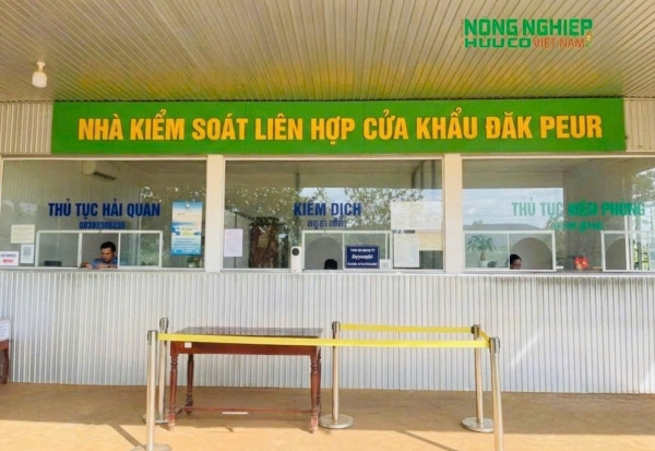 Định hướng phát triển cửa khẩu xanh, logistics xanh gắn với thương mại nông sản