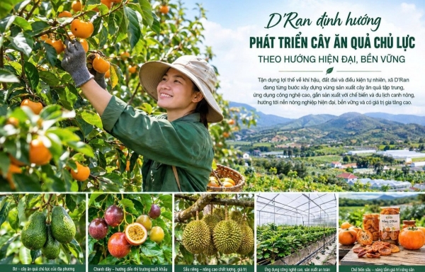 Định hướng phát triển cây ăn quả chủ lực theo hướng hiện đại, bền vững