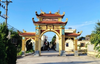 Hưng Yên hối hả thu hoạch vụ Hè Thu 2026
