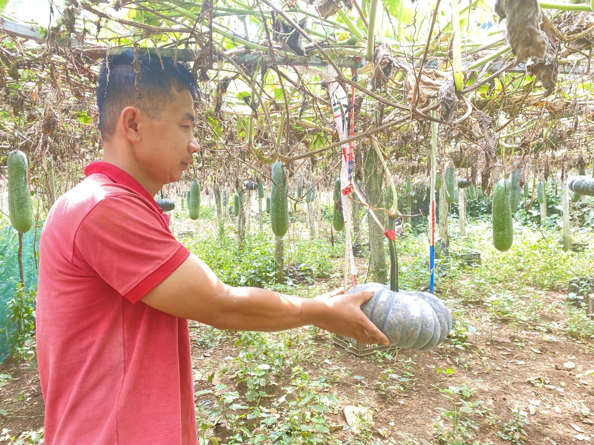 Làm giàu từ mô hình kinh tế tổng hợp của nông dân Phùng Văn Sướng