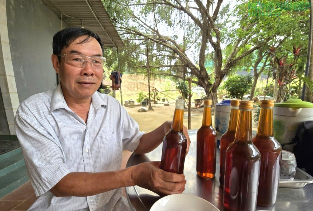 la m gia u nho mo hi nh nuoi ong lay mat cu a lao nong xu nghe