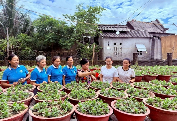 Phụ nữ Đan Điền lan tỏa mô hình xử lý rác hữu cơ bằng vi sinh IMO