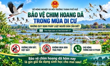 Xâm hại các loài động vật hoang dã có thể bị truy cứu trách nhiệm hình sự