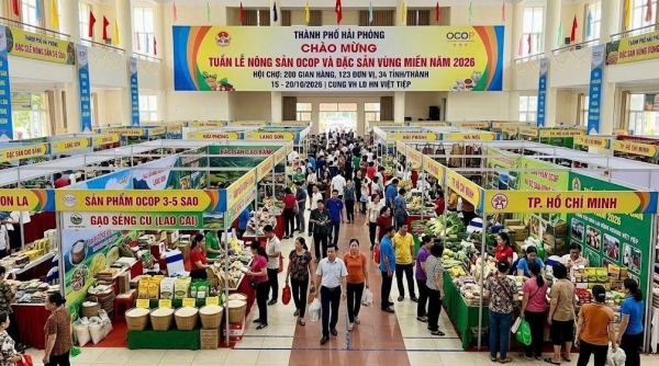Quy tụ 2.000 nông sản OCOP và đặc sản vùng miền giao thương tại Hải Phòng
