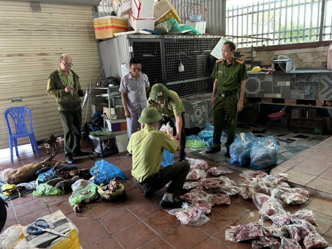 Quảng Ninh: Xử lý hành vi mua bán động vật hoang dã trái pháp luật