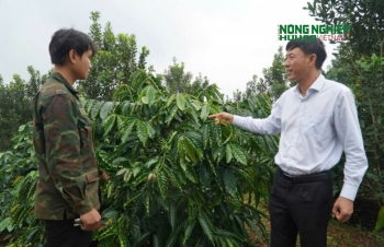 Người nông dân Quảng Trực vững vàng nơi phên dậu Tổ quốc