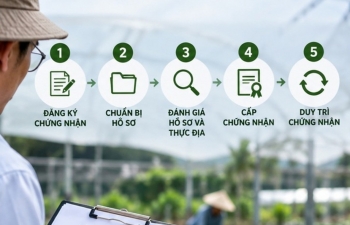 Quy trình chứng nhận hữu cơ - Bài 2: Từ đăng ký đến duy trì chứng nhận