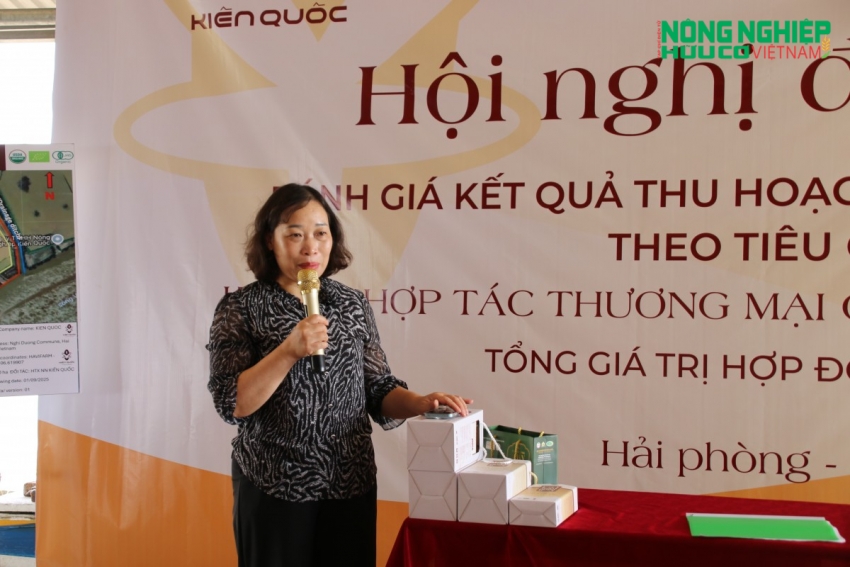 Kiến Quốc phát triển vùng lúa rươi hữu cơ, nâng tầm giá trị nông sản Hải Phòng