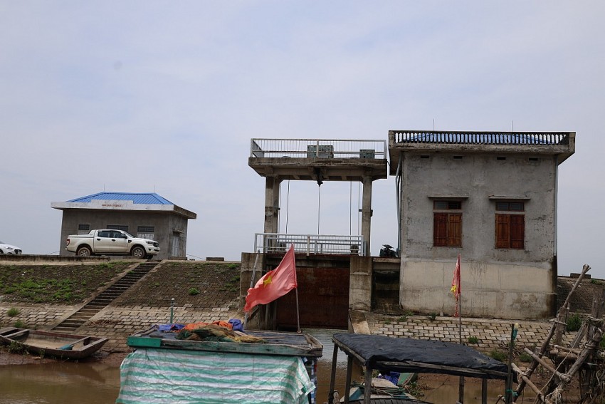 Thanh Hóa ứng phó xâm nhập mặn - Bài 2: Giữ ngọt, hồi sinh đất sản xuất vùng ven biển