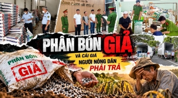 Làm sạch thị trường phân bón Việt Nam - Kỳ 3: Phân bón giả và cái giá phải trả của người nông dân