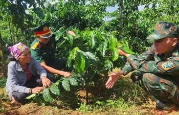 Đắk Lắk phát triển vùng cà phê hữu cơ theo tiêu chuẩn Mỹ và châu Âu hướng đến xuất khẩu