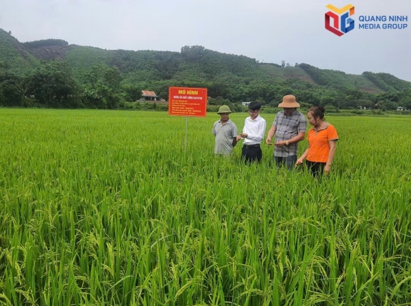 Quảng Ninh đẩy mạnh ứng dụng công nghệ cao, nâng giá trị nông sản