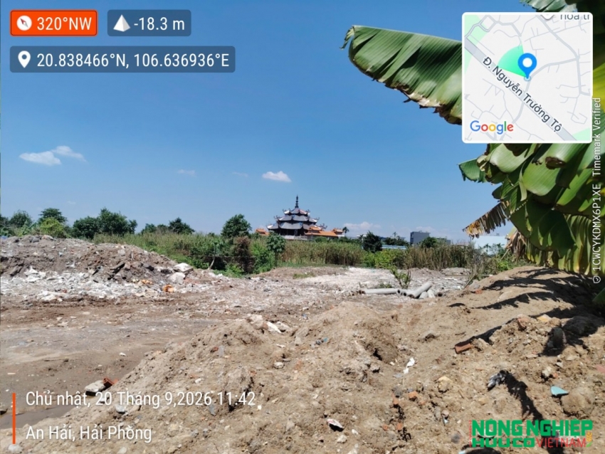 Hải Phòng: Nguy cơ ô nhiễm môi trường và suy thoái đất nông nghiệp tại phường An Hải