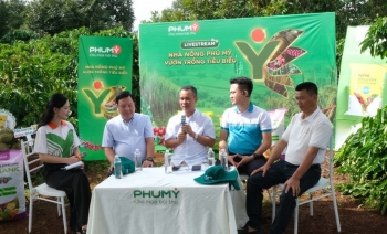 PVFCCo – Phú Mỹ duy trì đà tăng trưởng, mở rộng không gian phát triển