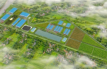 Dự án 4F Quế Lâm Lam Hồng: Động lực phát triển nông nghiệp hữu cơ, tuần hoàn tại Hà Tĩnh