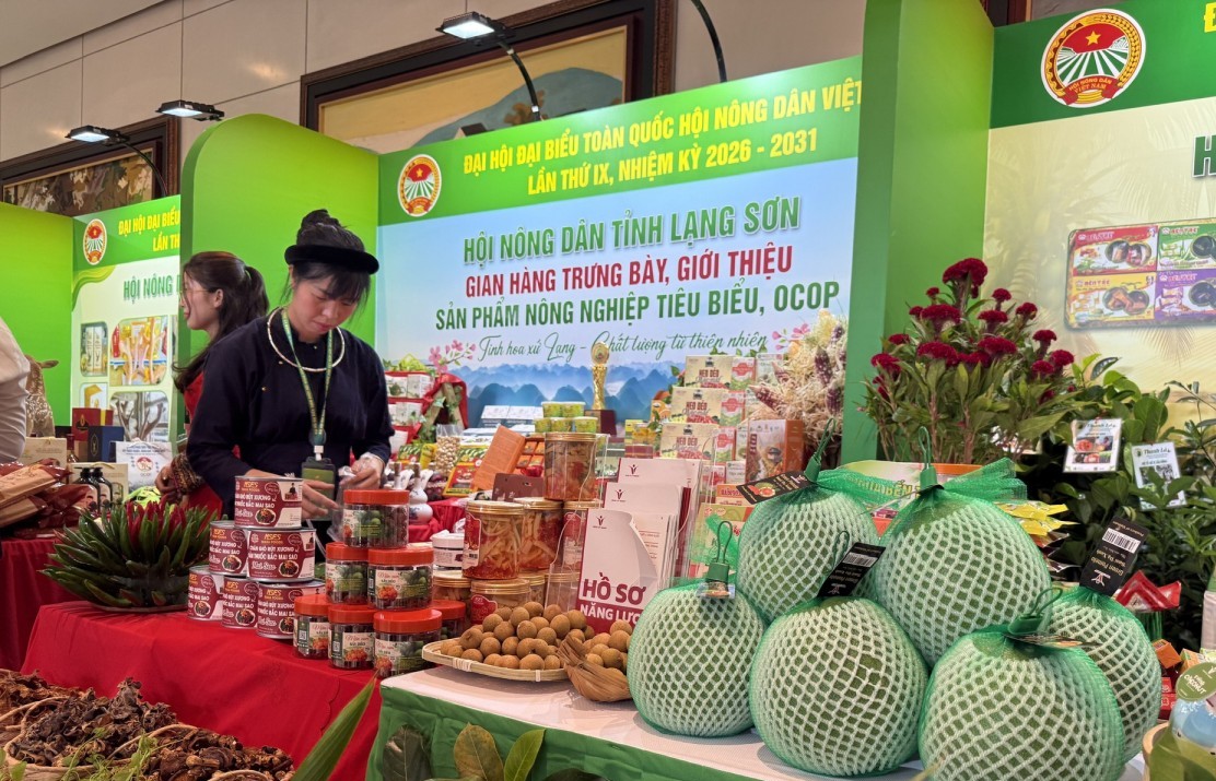 nong nghiep tri thuc dua nong san viet vuon tam quoc te