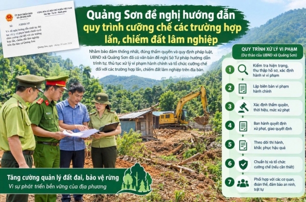 Xã Quảng Sơn đề nghị hướng dẫn quy trình cưỡng chế các trường hợp lấn, chiếm đất lâm nghiệp