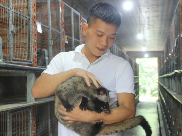 Chàng trai Hà Tĩnh nuôi chồn hương, dựng cơ nghiệp tiền tỷ