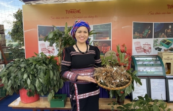 Quảng Ngãi: Lễ hội Sâm Ngọc Linh mở cơ hội phát triển cho Măng Ri