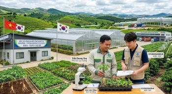 Lâm Đồng đẩy mạnh hợp tác nông nghiệp với tỉnh Gyeongsangbuk (Hàn Quốc)