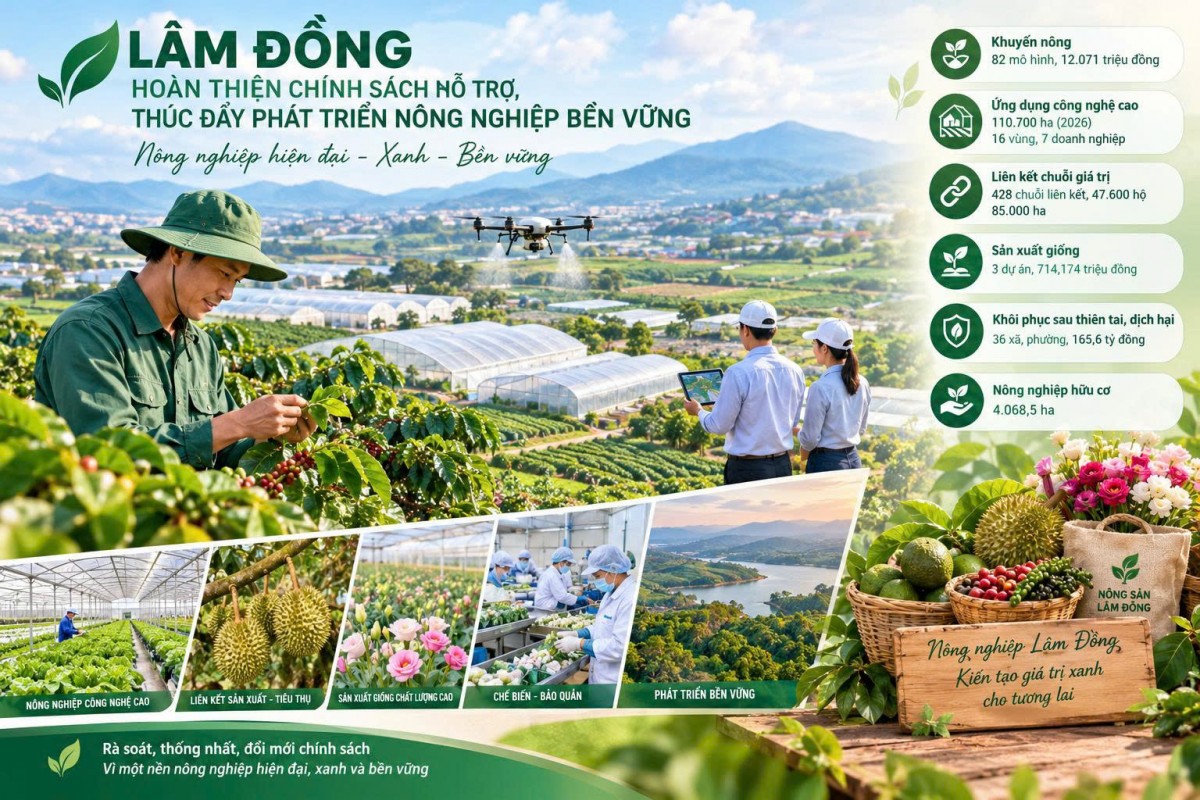 Hoàn thiện chính sách hỗ trợ, thúc đẩy phát triển nông nghiệp bền vững