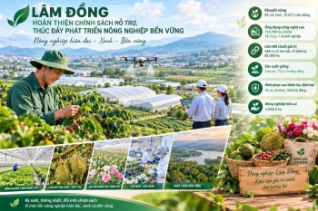 Hoàn thiện chính sách hỗ trợ, thúc đẩy phát triển nông nghiệp bền vững
