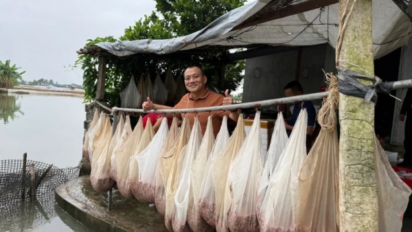 Rươi Vĩnh Bảo được bảo hộ nhãn hiệu tập thể, nâng tầm đặc sản Hải Phòng