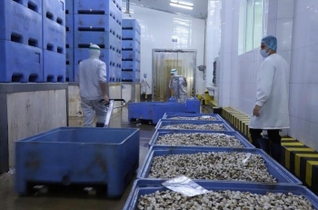 An toàn thực phẩm nông lâm thủy sản 2025: Tỷ lệ mẫu đạt yêu cầu chạm mốc 97,8%