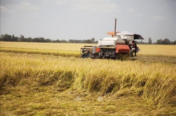 Mỹ tăng cường xúc tiến thương mại nông nghiệp với Việt Nam và một số nước