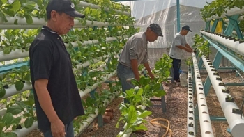 Thủy canh thông minh kết hợp năng lượng mặt trời lan tỏa tại các khu đô thị Malaysia