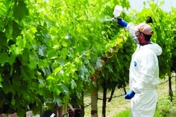 Lớp phủ sinh học giúp giảm lượng thuốc trừ sâu