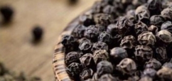 Vì sao hạt tiêu đen được xem là “vị thuốc” trong gian bếp Việt?