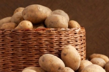 Mẹo bảo quản thực phẩm: 9 loại đồ ăn tuyệt đối không nên tích trữ trong tủ lạnh