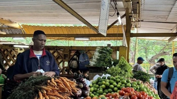 FAO cảnh báo tác động của khủng hoảng nhiên liệu đối với nông nghiệp Cuba