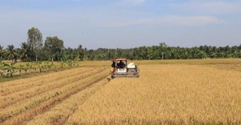 Nông nghiệp xanh tạo nền tảng phát triển kinh tế - xã hội ở Vĩnh Long