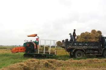 Cách giúp nông dân không phải vất vả xử lý rơm rạ mà vẫn có thu nhập