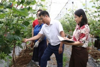 Gắn nghiên cứu với thực tiễn: Nâng tầm nông nghiệp công nghệ cao