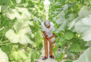 Đẩy mạnh sản xuất hữu cơ, ứng dụng công nghệ cao trên hơn 85.600 ha đất nông nghiệp