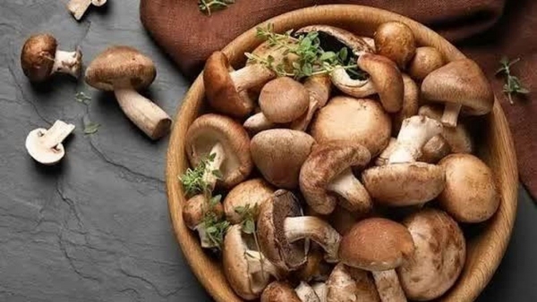 4 loại nấm dễ chế biến, bổ sung vào thực đơn bữa ăn