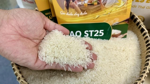 Gạo ST25 Việt Nam chính thức lên kệ hệ thống bán buôn tại Đức