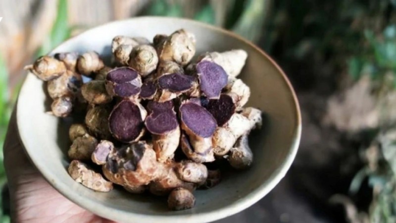 Loại củ gia vị tưởng lạ lại có nhiều ở Việt Nam, siêu dưỡng gan, tốt cho hô hấp