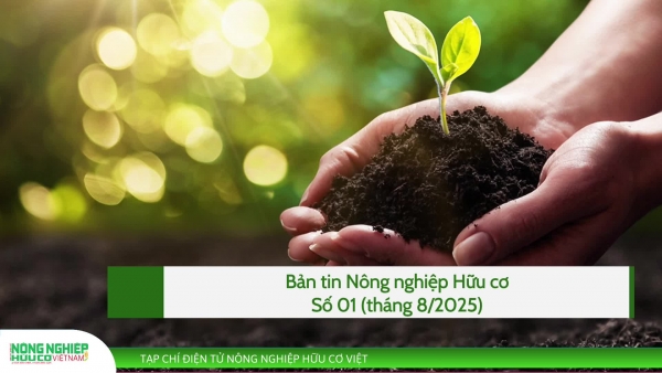 Bản tin Nông nghiệp hữu cơ, tuần từ 11 - 17/08/2025