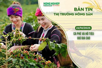 Thị trường nông sản 22/10/2025: Cà phê và hồ tiêu giữ giá cao
