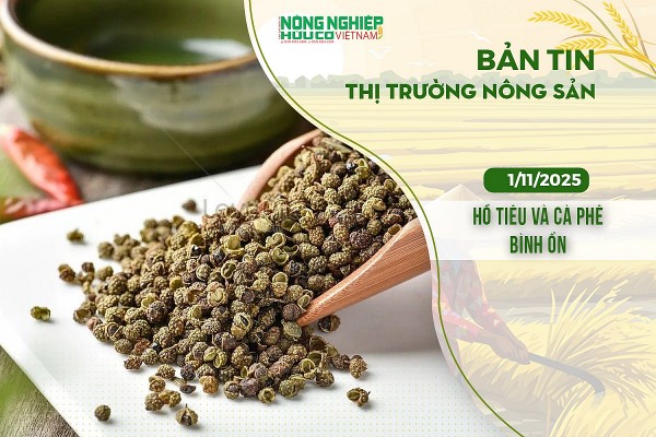 Thị trường nông sản 1/11/2025: Hồ tiêu và cà phê bình ổn